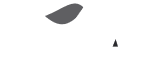 Vale
